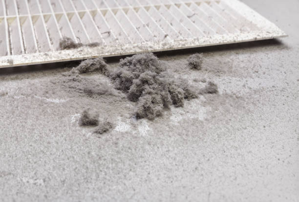 Best Air Vent Cleaning Services  in Caon City, CO