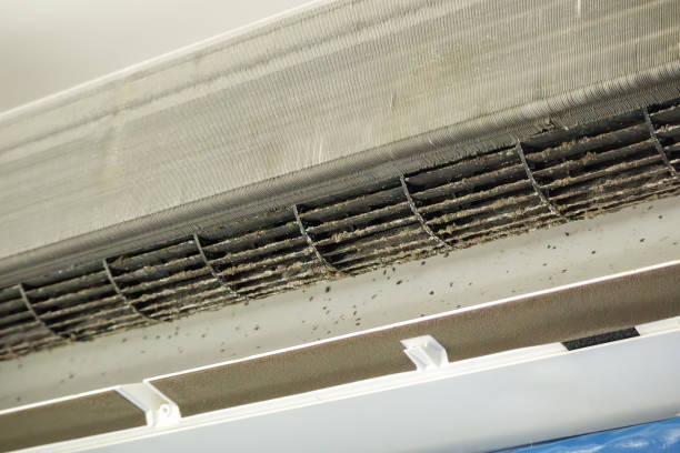 Best Ventilation Cleaning Services  in Caon City, CO